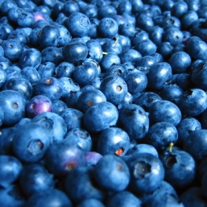 Blueberries_4e0e3b1ac4ef0.jpg