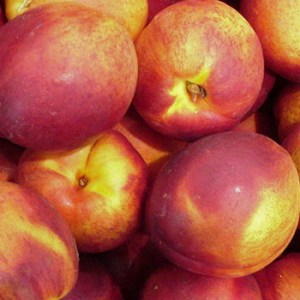 Nectarines_4e0e449f7baa2.jpg