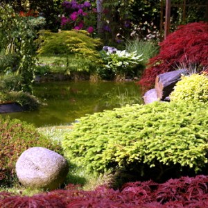 Orchard___Garden_4e11e1e521ec0.jpg