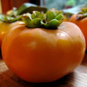 Persimmons_4e0e4aa0b3907.jpg