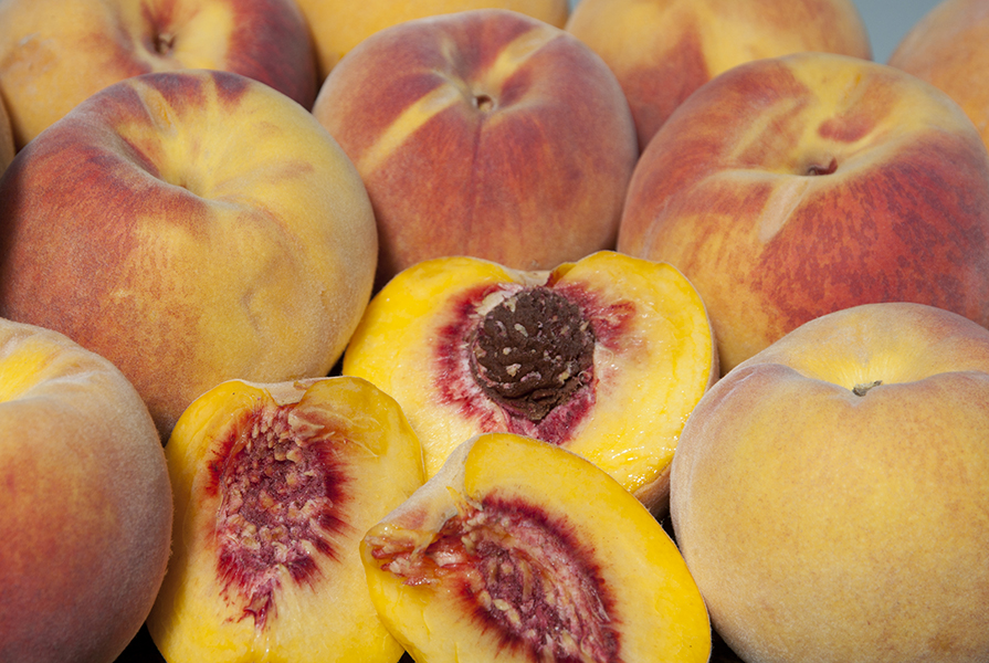 Peaches: August Pride Peach