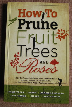 How_to_Prune_Fru_4ee68dc61ca99.jpg