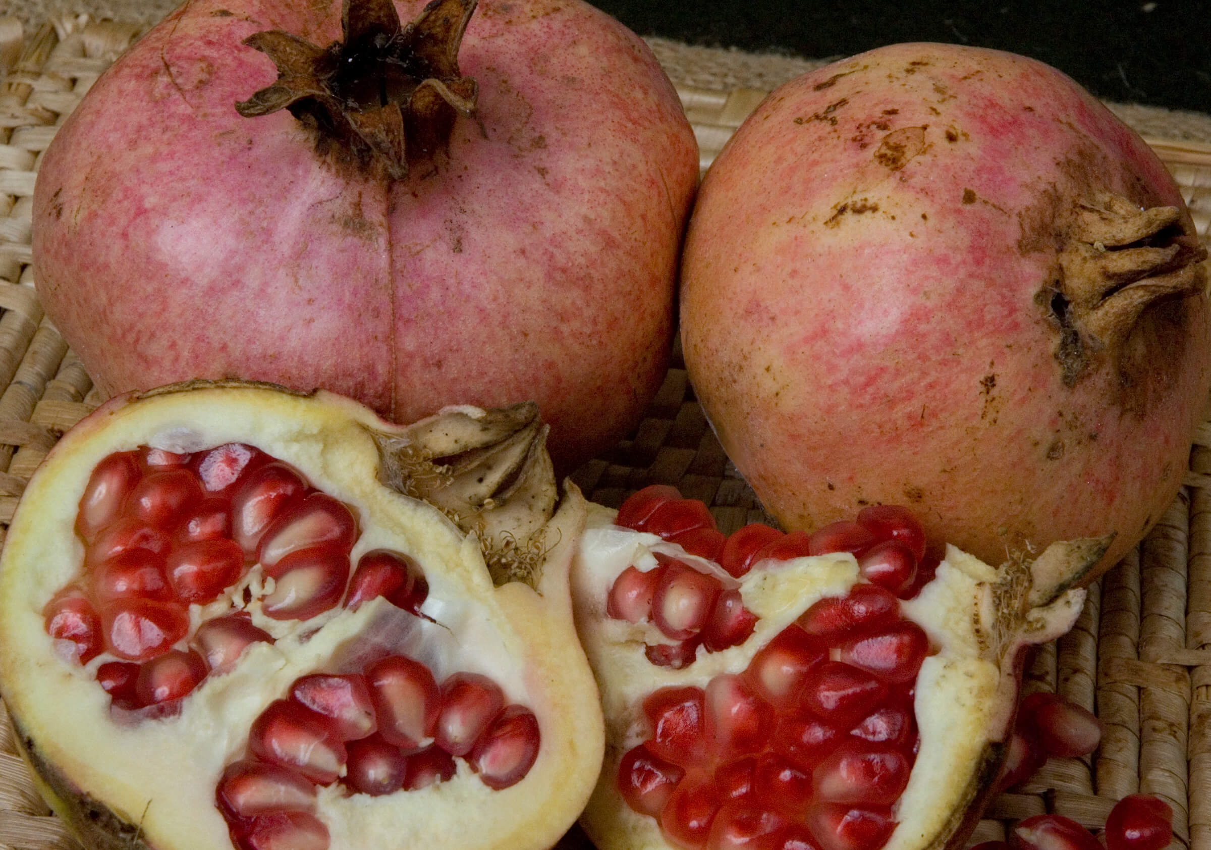 Ambrosia_Pomegra_4e63eb7c9d1d4.jpg