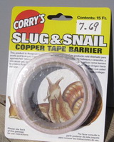 coppersnail.jpg