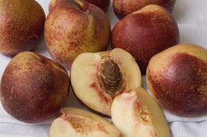 Snow_Queen_Necta_50241d3092c9a.jpg