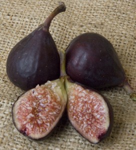 Violette_De_Bord_4e63e6311cc7a.jpg