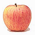 tn_galaapple.jpg